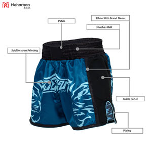 Pantalones cortos de Muay Thai personalizados de poliéster 100% de alta calidad, pantalones cortos MMA para jóvenes para boxeo, servicios OEM disponibles - Product Image 2