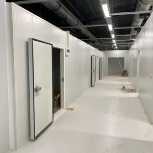 Commercial 20 Tons Freezer Cold Room Cold Storage for Fish