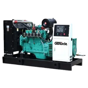 NG/CNG Clean Energy Gas Genset 30kw 50kw 80kw 100kw Natural Gas Generator with Factory Price
