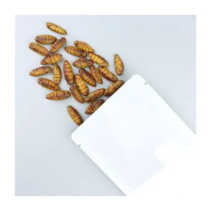 干冷冻蚕蛹宠物食品1千克干袋式贮藏面筋干蚕蛹