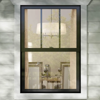 Fenêtres coulissantes verticales et horizontales de style américain en PVC noir, simples et doubles
