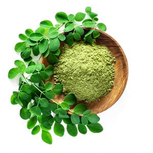 Polvo de Moringa, Ingrediente Natural Puro de Hoja para OEM y Marca Privada - Product Image 1