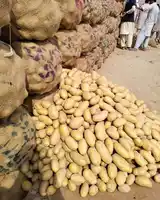 Patate fresche biologiche al 100% dal Bangladesh