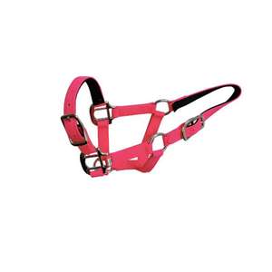 NOUVEAU ARRIVÉ Halter Horse Harness Equipement d'équitation Collier de tête en cuir Bride Horse Poulain Halter Rack - Product Image 3