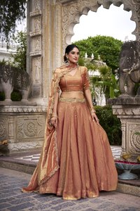 Elegant <b>Gold</b> Lace Embellished Pastel Lehenga Choli for Festive Party Outfits Trending Dreamy Fashion - Product Image 6