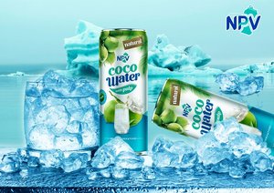 Agua de Coco OEM con Sabor a Piña, Lata de 250 ml, Certificación HALAL, Color Natural, Proveedor Mayorista de Vietnam - Product Image 6