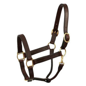 Licou de polo en cuir durable pour chevaux ajustement réglable rembourrage doux bandeau de nez confortable conception sécurisée pour l'entraînement équestre - Product Image 5
