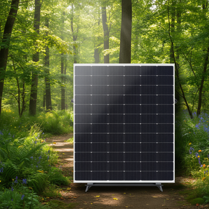 Panneau solaire monocristallin demi-cellule de type N SpolarPV SP355BSM6-72 600W avec couvercle avant en verre - Product Image 3