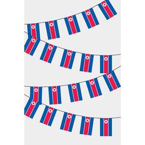 North Korea Rectangular Flag Bunting for Party Decorations - Product Image 1