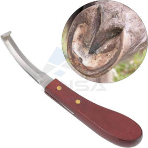 Couteau de coupe de sabot à Double tranchant de qualité supérieure manche en bois antidérapant toilettage équin maréchal-ferrant boucle polyvalente cisailles à sabot ovale - Product Image 2
