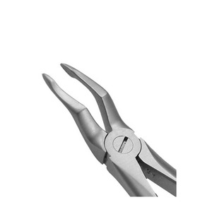 คีมถอนฟัน รุ่นสำหรับฟันกรามบน แบบอังกฤษ ทำจากสแตนเลส สำหรับถอนฟันกราม - Product Image 5