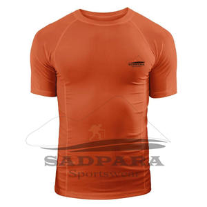 Venta al por mayor de secado rápido ajuste estándar transpirable ajustado cuello redondo hombres camisetas de manga corta de alta elasticidad ropa deportiva ligera - Product Image 4