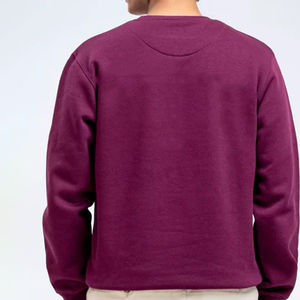 Sudaderas de Invierno Personalizadas para Hombre, Doble Capa, Felpa Gruesa, 100% Algodón, Ecológicas, Impresión Puff, Logotipo Personalizado OEM - Product Image 2