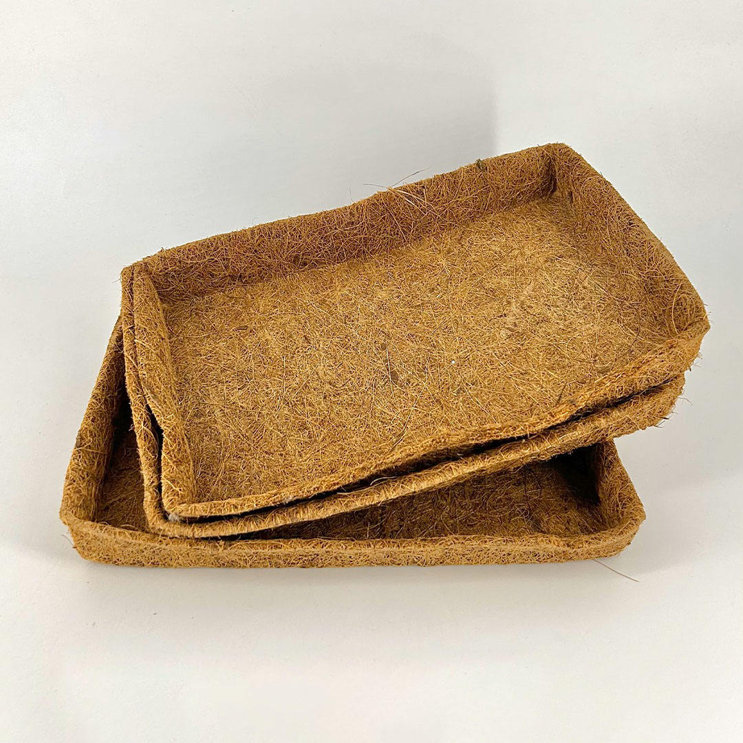 ธรรมชาติ