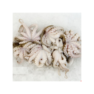 Chất Lượng Cao Hải Sản Đông Lạnh Bạch Tuộc 340G USA Xuất Xứ Lớp Một Tùy Chỉnh Kích Thước Bán Buôn - Product Image 1