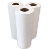 Rouleau de film DTF mat double face de haute qualité DTF ONE 33cm*100m en PET à pelage à chaud pour impression numérique par transfert thermique