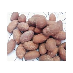 Kola Amarga Natural de Alta Calidad y Saludable, Origen Sudáfrica, Grado Superior, Empaquetado a Granel - Product Image 4