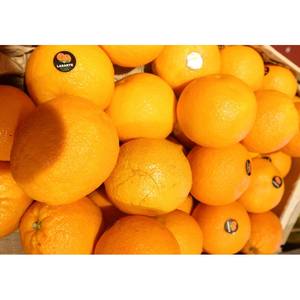 Naranjas Frescas Navel / Newhall / Valencia, Cítricos de Verano en Venta - Product Image 6