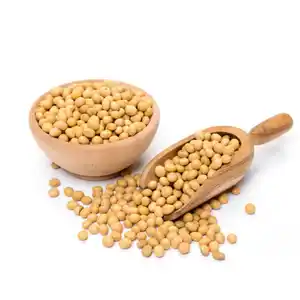 高品质批发新鲜大豆高品质准备出货发芽和食品级黄大豆/顶级品质