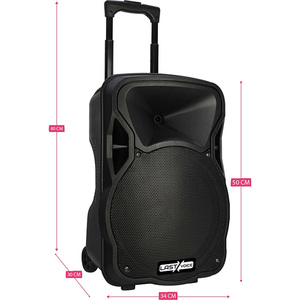 Lastvoice LS-P1912EE 12" 800W Portable PA System with <b>Wireless</b> <b>Microphone</b> - Product Image 3