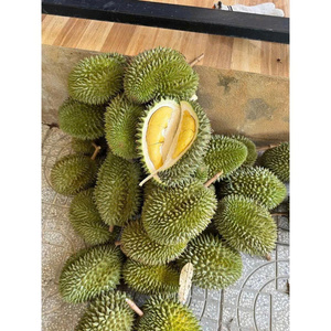 DURIAN CONGELADO AL POR MAYOR CALIDAD PREMIUM SUMINISTRO A GRANEL OFERTA SUPERVENTAS PRODUCTO DE EXPORTACIÓN DE FRUTAS TROPICALES NATURALES - Product Image 2