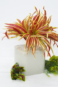 Premium Fancy Powder Coated <b>Cheap</b> Flower <b>Vases</b> and Center Piece Marble Antique Design Home Interior and Exterior Decorative <b>Vase</b> - Product Image 2