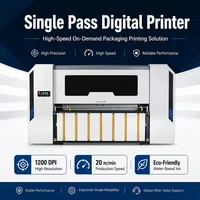 Máquina de Impresión Digital de Inyección de Tinta de Una Sola Pasada para Bolsas de Papel Kraft, Cajas de Correo, Cajas de Pizza, Impresora de Cartón Ecológica de Envío Rápido