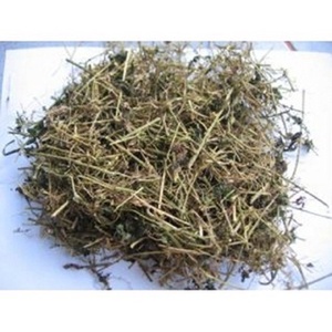 ใบเมลอนรสขมออร์แกนิกสนับสนุนตับฉลากสะอาดจากพืช - Product Image 5