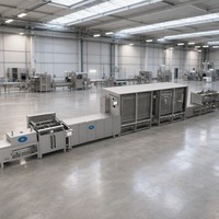 Ligne de production de déposeuse de chocolat industrielle 250-600 kg/h 42 kW en acier inoxydable SUS304 avec écran tactile PLC certifiée CE