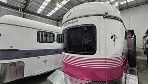 Remorque à chevaux TrailTrekker 2 HORSE STRAIGHT LOAD FLOAT 2HSL-3075 à vendre - Product Image 2