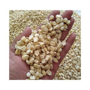 Suministro de maíz blanco a granel, cosecha fresca disponible para envío rápido - Product Image 2