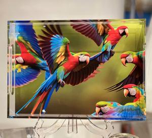 ถาดพลาสติกอะคริลิคใสทรงสี่เหลี่ยมผืนผ้าถาดใส่รูปภาพแสดงสีสันสดใส - Product Image 3