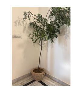 Macetas de Piedra Antiguas con Altura Ajustable, Muebles de Exterior para Sala de Estar, Macetas para Exteriores - Product Image 1