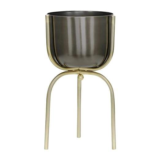 ตามที่แสดง