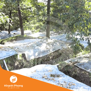 Film de paillis agricole pour la base de l'arbre Durian La régulation de la température isole la température du sol et protège les racines - Product Image 3