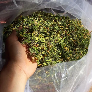 Flor de Papaya Seca, Ingrediente Herbal Natural para Té, Remedios Tradicionales y Uso en Bienestar // Sra. Lily - Product Image 1