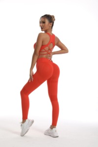 Traje de yoga Mujer Gimnasio Conjunto de dos piezas Ropa de entrenamiento Chica Fitness Chándal Pantalones cortos Top Sujetador Ropa deportiva - Product Image 2
