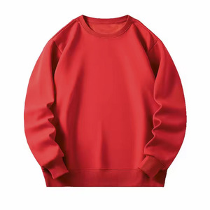 Sweat-shirt à capuche en molleton 480 g/m² pour homme, col rond, doux, avec logo personnalisé imprimé, teinture unie, hiver, écologique, respirant, vente en gros - Product Image 5