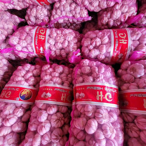 Ajo Seco Vietnamita Único 100% Natural 12 Meses de Duración para Exportación al por Mayor - Product Image 5