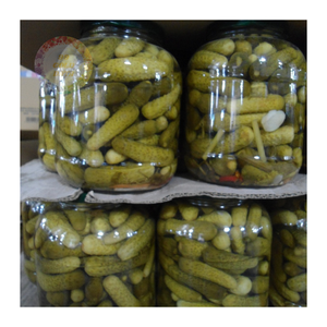 Concombres de cornichons croquants en gros-fraîchement cueillis, de haute qualité et idéaux pour la distribution en vrac - Product Image 2