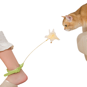 Nuevo Collar de Juguete para Gatos de Plástico Ecológico y Moderno con Campana, Juguetes Atados al por Mayor - Product Image 5