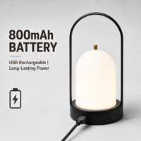 Lanterne LED portable multicolore rechargeable 800 mAh USB, intensité réglable, commande tactile, design moderne, lampe de chevet, lampe de nuit, camping