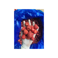 Veganistische Vriendelijke Gevriesdroogde Aardbeienchips Natuurlijke Hele Fruitsnack Geen Toegevoegde Suiker Geen Conserveermiddelen Ideaal