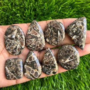 Pierres précieuses naturelles en vrac d'agate de turritella poire ovale formes rondes cabines lot de gros - Product Image 1