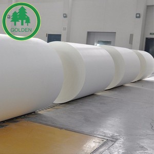 Papel base para vasos ecológico, recubierto, compostable, apto para alimentos, para vasos de bebidas frías y calientes - Product Image 6