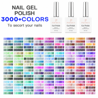 Collection professionnelle de vernis gel solide 3000+ couleurs, haute pigmentation, style japonais, gel à ongles effet boue, ensemble complet pour salon