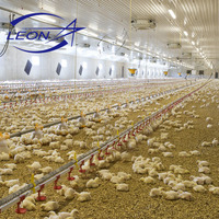 Système d'élevage au sol entièrement automatique à haute efficacité pour poulets de chair, équipement complet d'élevage avicole