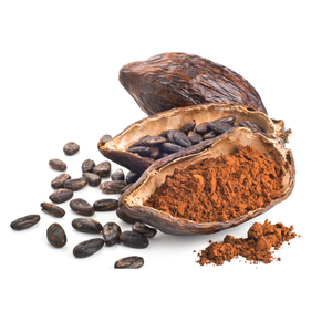 Bulk cocoa <b>beans</b> wholesale organic dry cocoa <b>beans</b> for export to Europe Asia and America for chocolate and cocoa <b>product</b> - Product Image 3