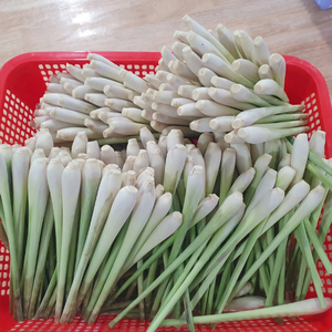 Vietnam Fresh Frozen Lemongrass IQF Processed Clean Herb for Culinary Industry - Product Image 3