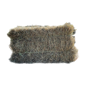 Venta de heno de alfalfa de calidad premium - Product Image 3